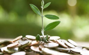 hire an investment advisor